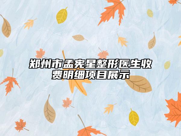 鄭州市孟憲星整形醫(yī)生收費明細項目展示