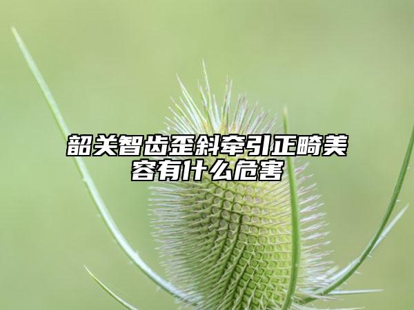 韶關(guān)智齒歪斜牽引正畸美容有什么危害