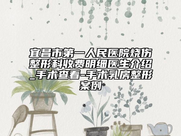 宜昌市第一人民醫(yī)院燒傷整形科收費(fèi)明細(xì)醫(yī)生介紹_手術(shù)查看-手術(shù)乳房整形案例