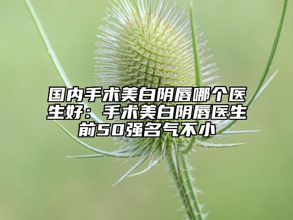 國(guó)內(nèi)手術(shù)美白陰唇哪個(gè)醫(yī)生好：手術(shù)美白陰唇醫(yī)生前50強(qiáng)名氣不小