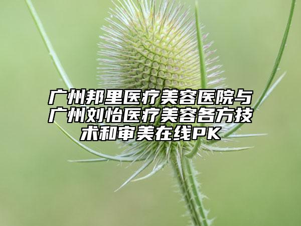 廣州邦里醫(yī)療美容醫(yī)院與廣州劉怡醫(yī)療美容各方技術(shù)和審美在線PK