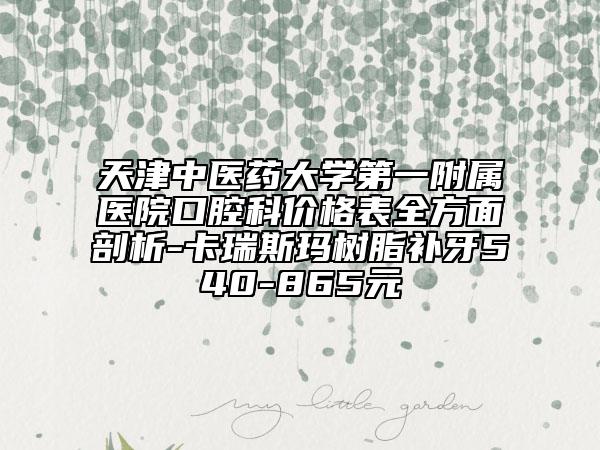 天津中醫(yī)藥大學(xué)第一附屬醫(yī)院口腔科價(jià)格表全方面剖析-卡瑞斯瑪樹脂補(bǔ)牙540-865元