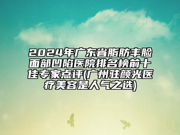2024年廣東省脂肪豐臉面部凹陷醫(yī)院排名榜前十佳專家點(diǎn)評(píng)(廣州駐顏光醫(yī)療美容是人氣之選)
