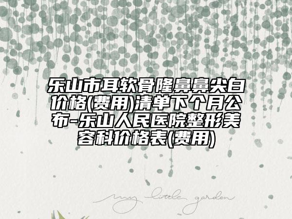 樂山市耳軟骨隆鼻鼻尖白價格(費用)清單下個月公布-樂山人民醫(yī)院整形美容科價格表(費用)