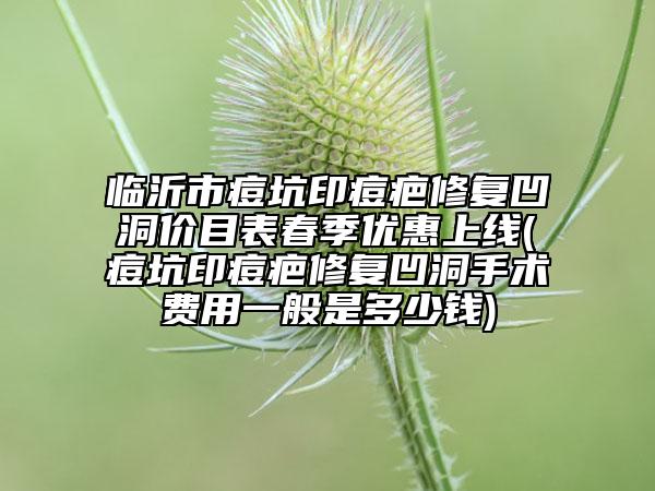 臨沂市痘坑印痘疤修復(fù)凹洞價(jià)目表春季優(yōu)惠上線(痘坑印痘疤修復(fù)凹洞手術(shù)費(fèi)用一般是多少錢)