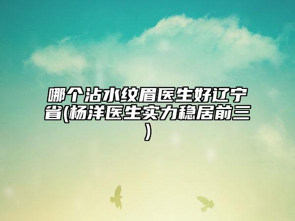 哪個(gè)沾水紋眉醫(yī)生好遼寧省(楊洋醫(yī)生實(shí)力穩(wěn)居前三)