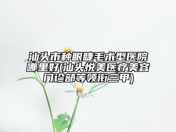 汕頭市種眼睫毛術(shù)型醫(yī)院哪里好(汕頭悅美醫(yī)療美容門診部等領(lǐng)銜三甲)