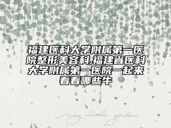 福建醫(yī)科大學附屬第一醫(yī)院整形美容科,福建省醫(yī)科大學附屬第一醫(yī)院一起來看看哪些牛