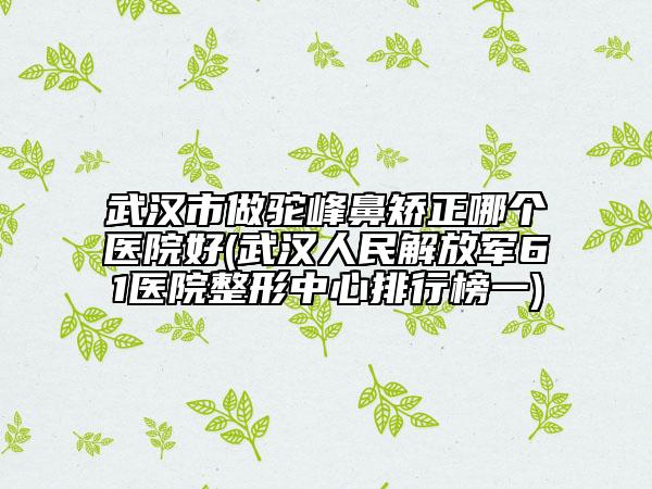武漢市做駝峰鼻矯正哪個醫(yī)院好(武漢人民解放軍61醫(yī)院整形中心排行榜一)