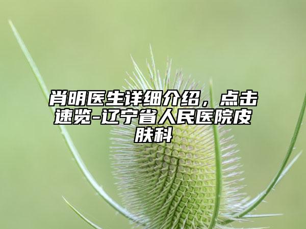 肖明醫(yī)生詳細(xì)介紹，點(diǎn)擊速覽-遼寧省人民醫(yī)院皮膚科