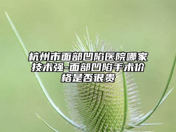 杭州市面部凹陷醫(yī)院哪家技術強-面部凹陷手術價格是否很貴