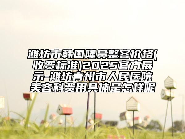 濰坊市韓國隆鼻整容價格(收費標準)2025官方展示-濰坊青州市人民醫(yī)院美容科費用具體是怎樣呢