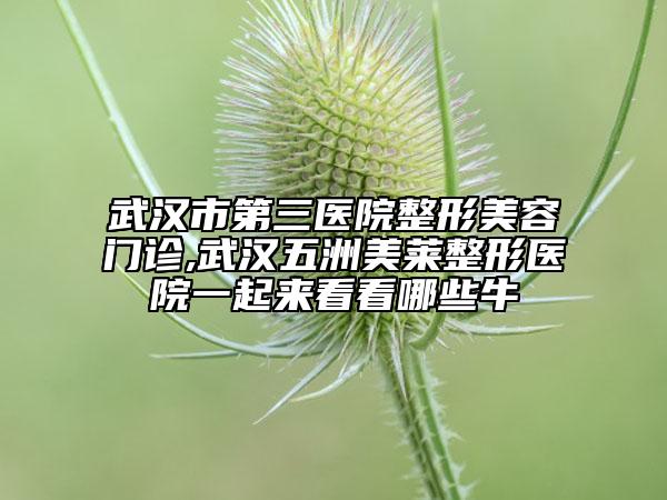 武漢市第三醫(yī)院整形美容門診,武漢五洲美萊整形醫(yī)院一起來看看哪些牛