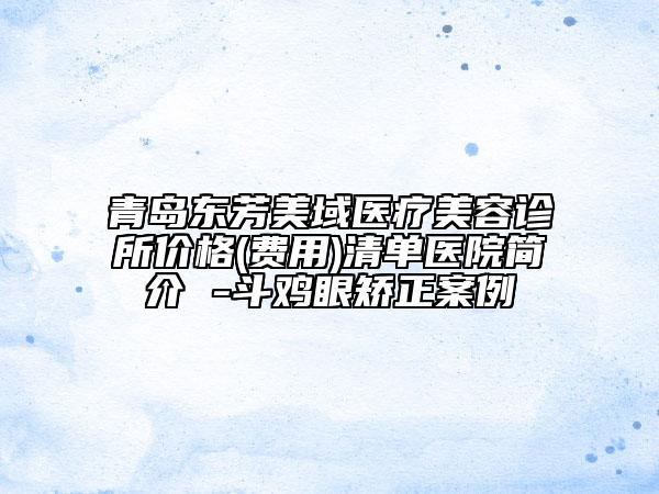 青島東芳美域醫(yī)療美容診所價格(費用)清單醫(yī)院簡介 -斗雞眼矯正案例