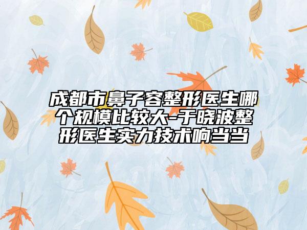成都市鼻子容整形醫(yī)生哪個規(guī)模比較大-于曉波整形醫(yī)生實力技術(shù)響當當