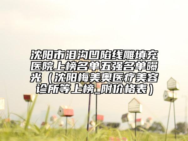 沈陽(yáng)市淚溝凹陷線雕填充醫(yī)院上榜名單五強(qiáng)名單曝光（沈陽(yáng)梅美奧醫(yī)療美容診所等上榜_附價(jià)格表）