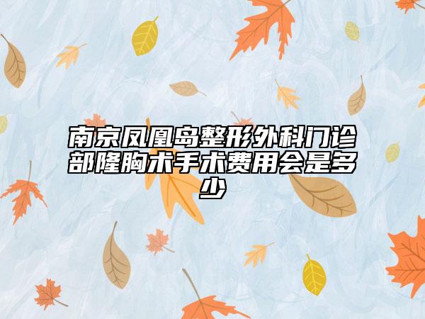 南京鳳凰島整形外科門診部隆胸術(shù)手術(shù)費(fèi)用會(huì)是多少