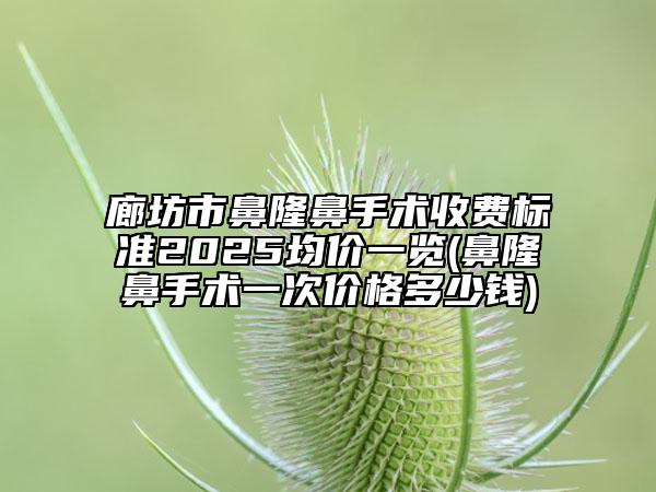 廊坊市鼻隆鼻手術(shù)收費標準2025均價一覽(鼻隆鼻手術(shù)一次價格多少錢)
