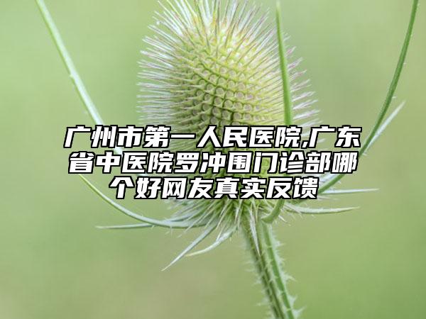 廣州市第一人民醫(yī)院,廣東省中醫(yī)院羅沖圍門診部哪個好網(wǎng)友真實反饋