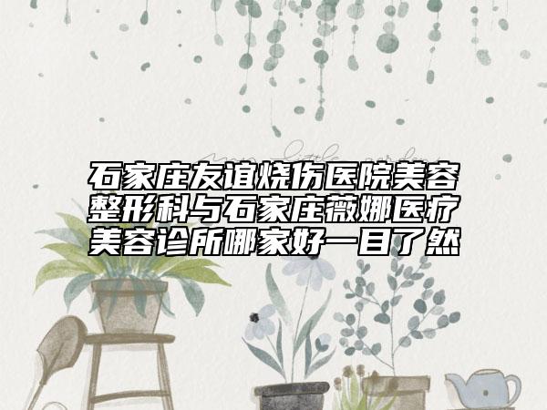 石家莊友誼燒傷醫(yī)院美容整形科與石家莊薇娜醫(yī)療美容診所哪家好一目了然