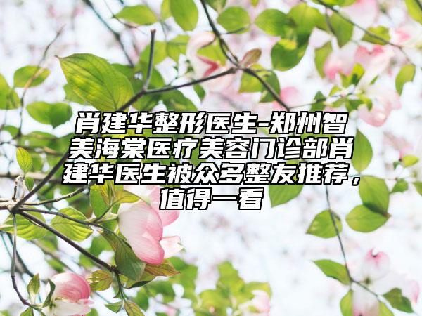 肖建華整形醫(yī)生-鄭州智美海棠醫(yī)療美容門(mén)診部肖建華醫(yī)生被眾多整友推薦，值得一看