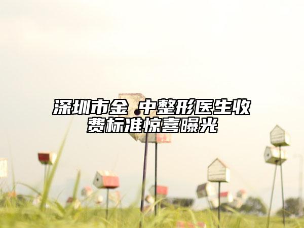 深圳市金湳中整形醫(yī)生收費標準驚喜曝光