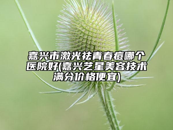 嘉興市激光祛青春痘哪個醫(yī)院好(嘉興藝星美容技術滿分價格便宜)