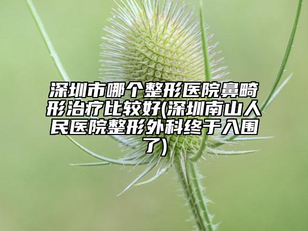 深圳市哪個(gè)整形醫(yī)院鼻畸形治療比較好(深圳南山人民醫(yī)院整形外科終于入圍了)