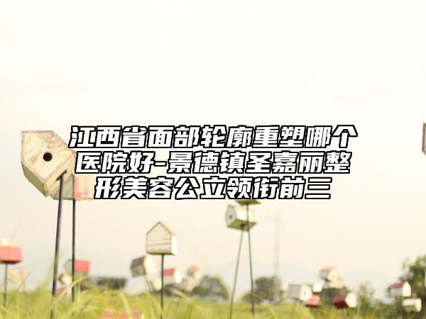 江西省面部輪廓重塑哪個醫(yī)院好-景德鎮(zhèn)圣嘉麗整形美容公立領(lǐng)銜前三