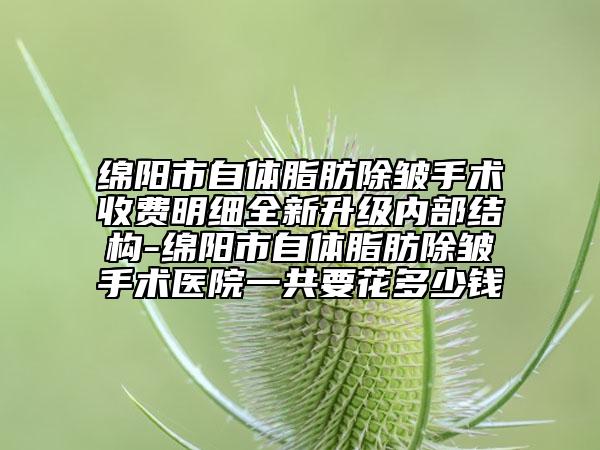 綿陽市自體脂肪除皺手術(shù)收費(fèi)明細(xì)全新升級(jí)內(nèi)部結(jié)構(gòu)-綿陽市自體脂肪除皺手術(shù)醫(yī)院一共要花多少錢