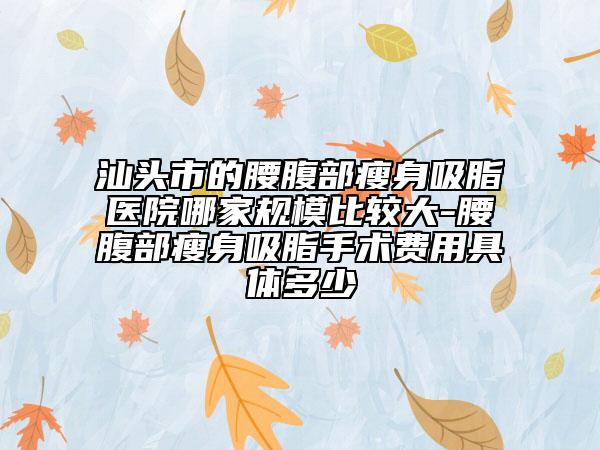 汕頭市的腰腹部瘦身吸脂醫(yī)院哪家規(guī)模比較大-腰腹部瘦身吸脂手術(shù)費(fèi)用具體多少