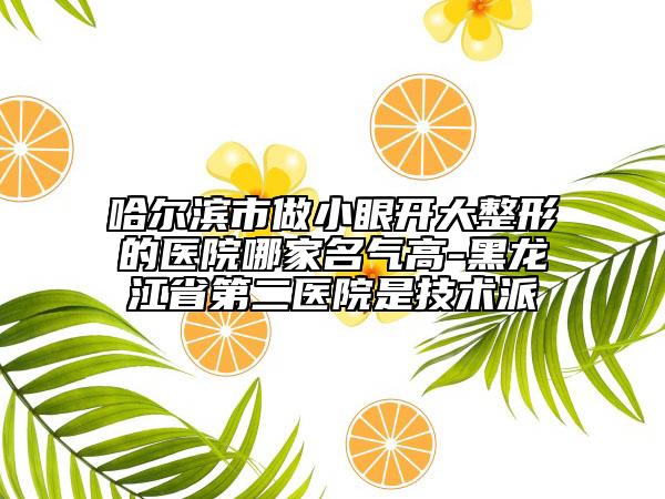 哈爾濱市做小眼開(kāi)大整形的醫(yī)院哪家名氣高-黑龍江省第二醫(yī)院是技術(shù)派