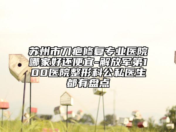 蘇州市刀疤修復(fù)專業(yè)醫(yī)院哪家好還便宜-解放軍第100醫(yī)院整形科公私醫(yī)生都有盤點