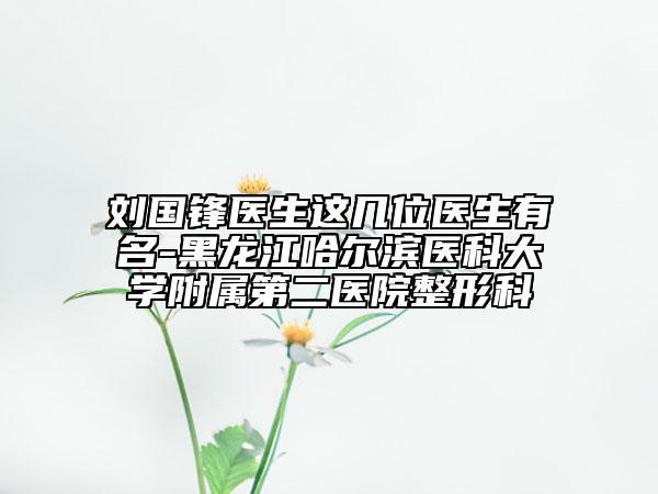 劉國鋒醫(yī)生這幾位醫(yī)生有名-黑龍江哈爾濱醫(yī)科大學(xué)附屬第二醫(yī)院整形科