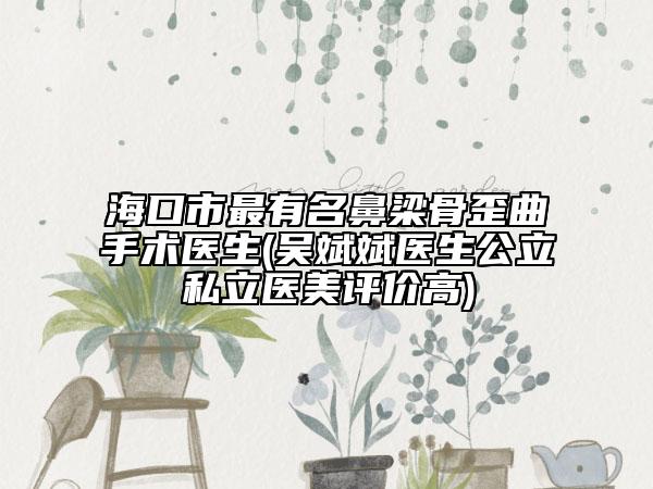 海口市最有名鼻梁骨歪曲手術(shù)醫(yī)生(吳斌斌醫(yī)生公立私立醫(yī)美評(píng)價(jià)高)