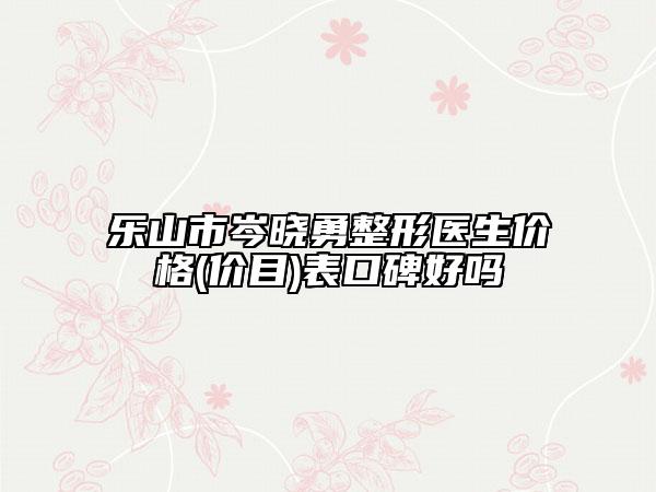樂(lè)山市岑曉勇整形醫(yī)生價(jià)格(價(jià)目)表口碑好嗎