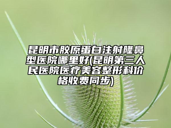 昆明市膠原蛋白注射隆鼻型醫(yī)院哪里好(昆明第三人民醫(yī)院醫(yī)療美容整形科價格收費同步)
