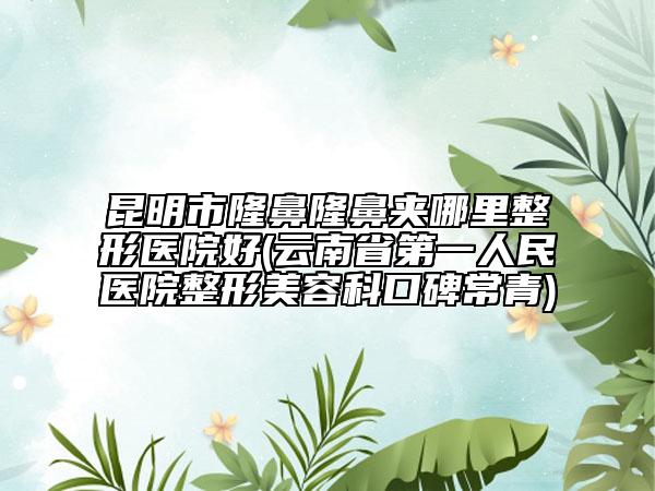 昆明市隆鼻隆鼻夾哪里整形醫(yī)院好(云南省第一人民醫(yī)院整形美容科口碑常青)