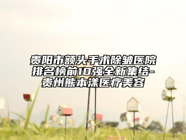 貴陽市額頭手術(shù)除皺醫(yī)院排名榜前10強全新集結(jié)-貴州熊本漾醫(yī)療美容