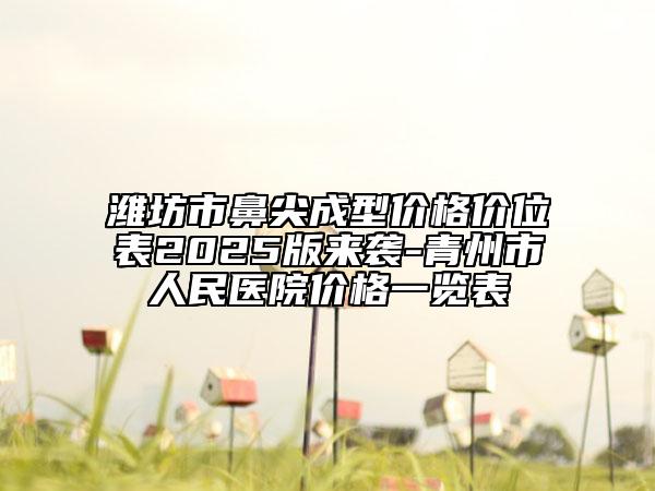 濰坊市鼻尖成型價格價位表2025版來襲-青州市人民醫(yī)院價格一覽表