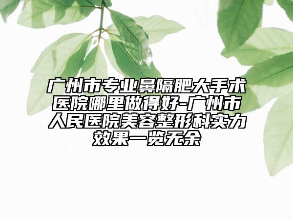 廣州市專業(yè)鼻隔肥大手術(shù)醫(yī)院哪里做得好-廣州市人民醫(yī)院美容整形科實(shí)力效果一覽無余
