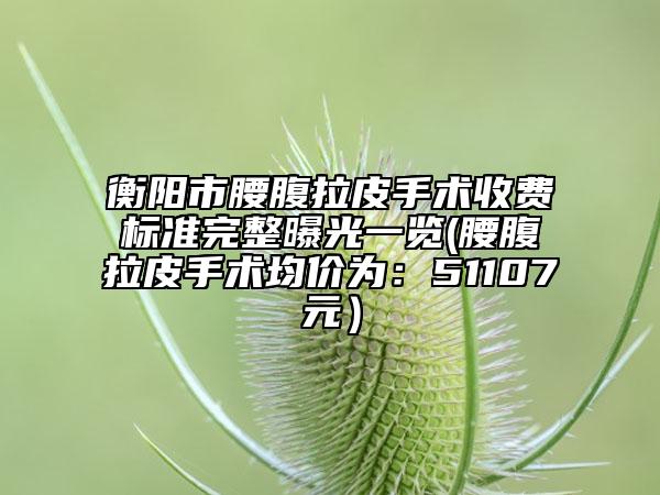 衡陽市腰腹拉皮手術(shù)收費標(biāo)準(zhǔn)完整曝光一覽(腰腹拉皮手術(shù)均價為：51107元）