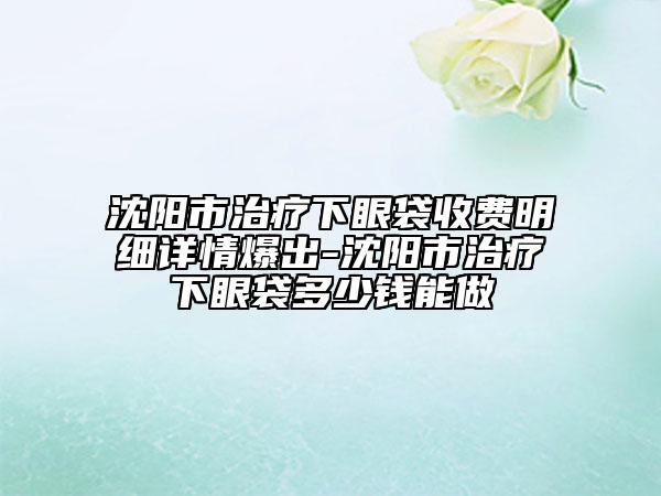 沈陽市治療下眼袋收費明細詳情爆出-沈陽市治療下眼袋多少錢能做
