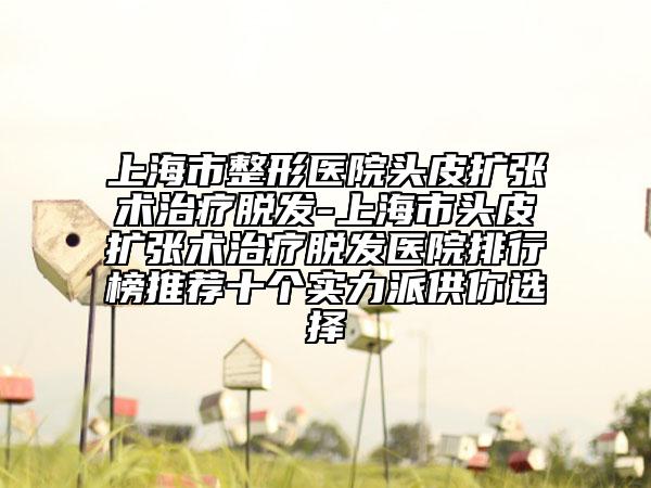 上海市整形醫(yī)院頭皮擴(kuò)張術(shù)治療脫發(fā)-上海市頭皮擴(kuò)張術(shù)治療脫發(fā)醫(yī)院排行榜推薦十個(gè)實(shí)力派供你選擇