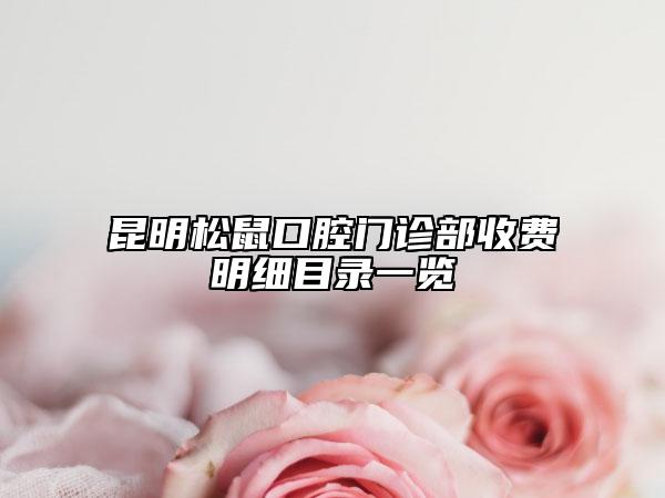 昆明松鼠口腔門診部收費(fèi)明細(xì)目錄一覽