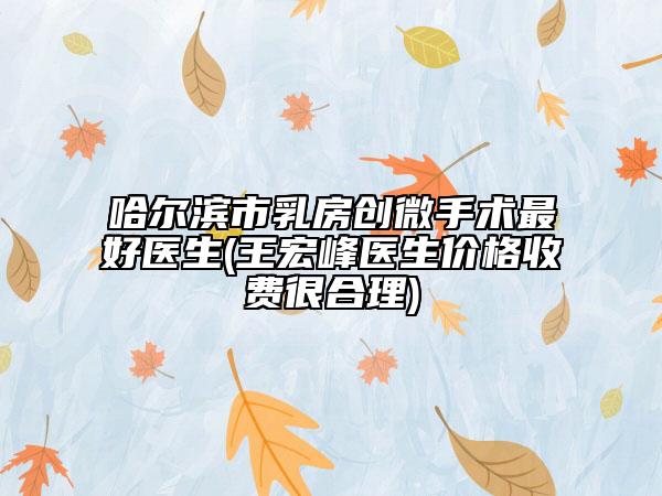 哈爾濱市乳房創(chuàng)微手術(shù)最好醫(yī)生(王宏峰醫(yī)生價格收費很合理)