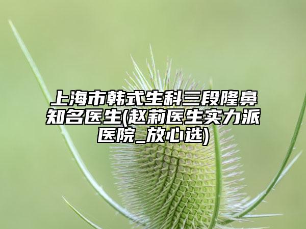 上海市韓式生科三段隆鼻知名醫(yī)生(趙莉醫(yī)生實力派醫(yī)院_放心選)