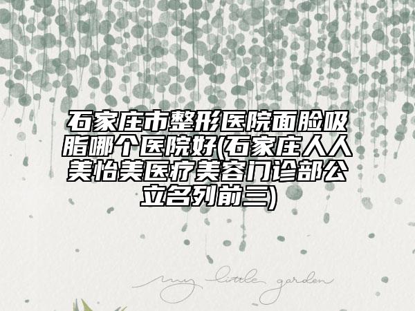 石家莊市整形醫(yī)院面臉吸脂哪個醫(yī)院好(石家莊人人美怡美醫(yī)療美容門診部公立名列前三)