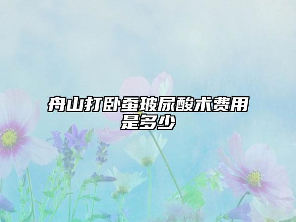 舟山打臥蠶玻尿酸術費用是多少