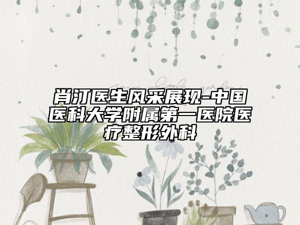 肖汀醫(yī)生風采展現(xiàn)-中國醫(yī)科大學附屬第一醫(yī)院醫(yī)療整形外科